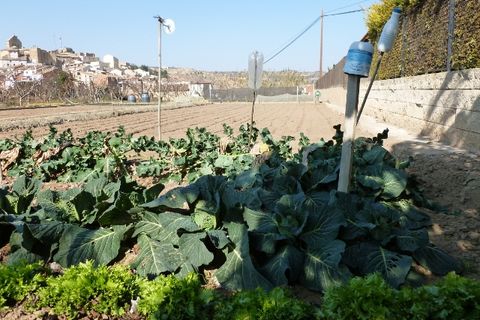 Byhus i Mazaleon, Teruel, Mazaleon - € 79.000 | Ref: 0740 - foto 29